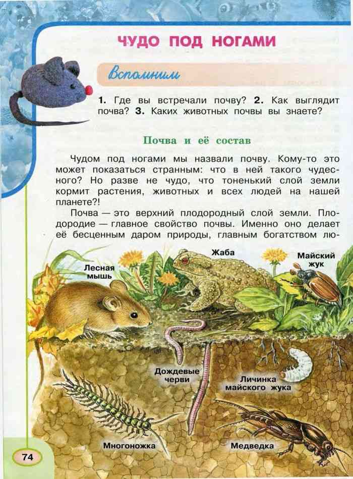 Учебник Окружающий мир 3 класс Плешаков Новицкая часть 1 читать онлайн